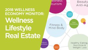 2018 Global Wellness Economy Monitor: Wellness Lifestyle Real Estate Sector