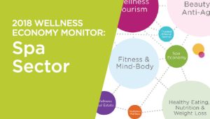2018 Global Wellness Economy Monitor: Spa Sector