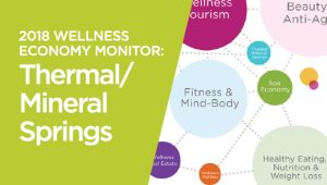 2018 Global Wellness Economy Monitor: Thermal/Mineral Springs Sector