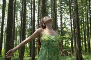 Forest Bathing