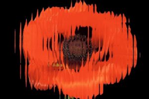 The Case for Kicking the Stone