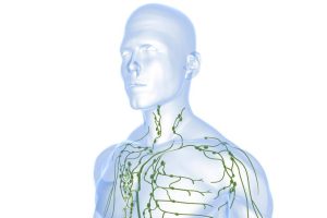 Manual Lymph Drainage