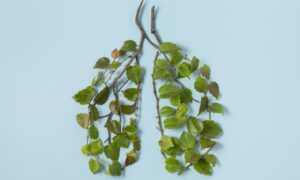 Respiratory Wellness Initiative Trends for 2025