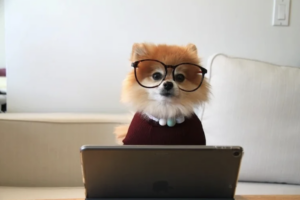 Why Every Coach Should Up-Skill For The Aging Population