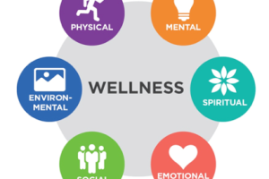 Wellness infographic